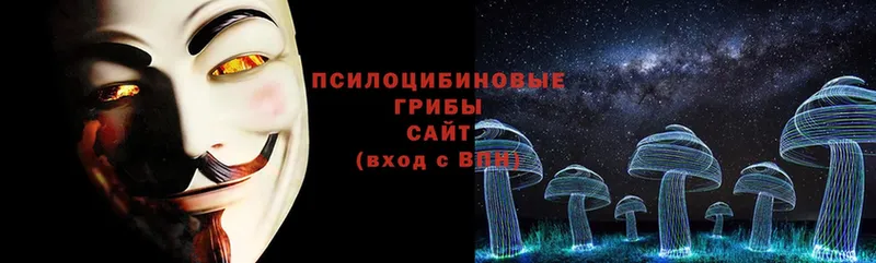 Псилоцибиновые грибы Cubensis  Северодвинск 